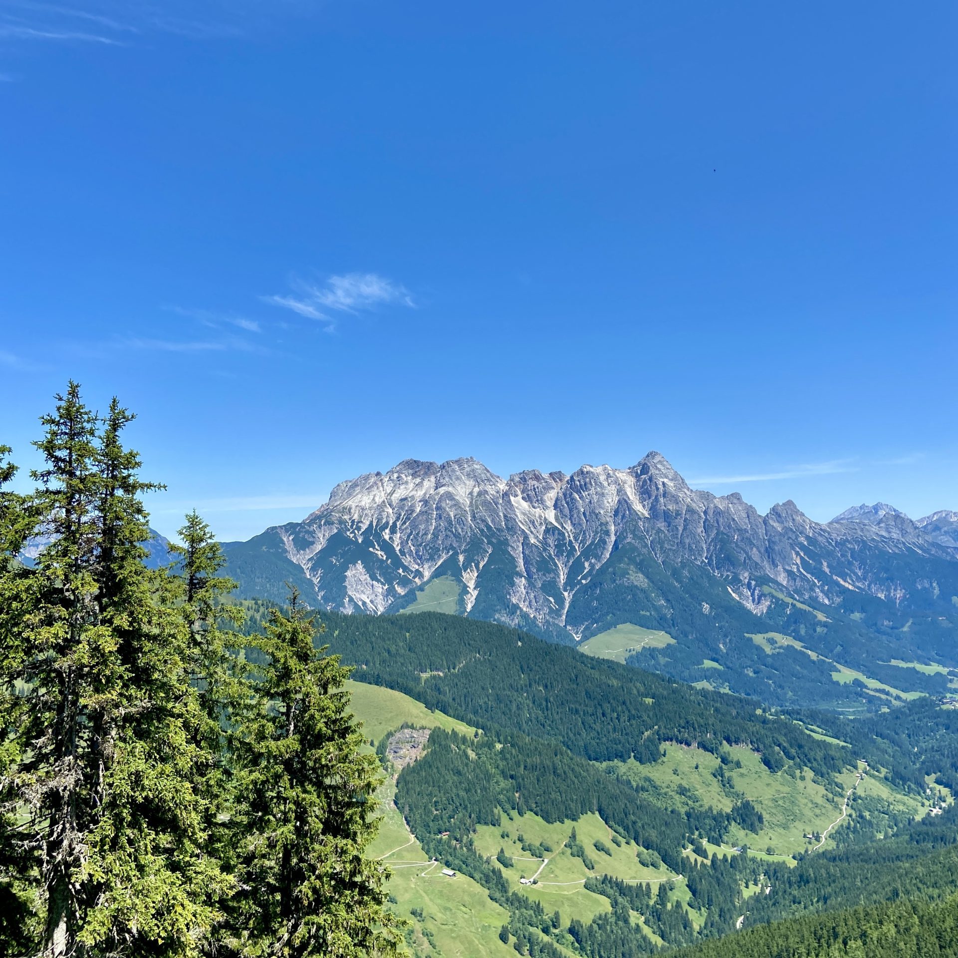 3A09FF60-CF94-41A2-BE2E-B0E247F3FA69